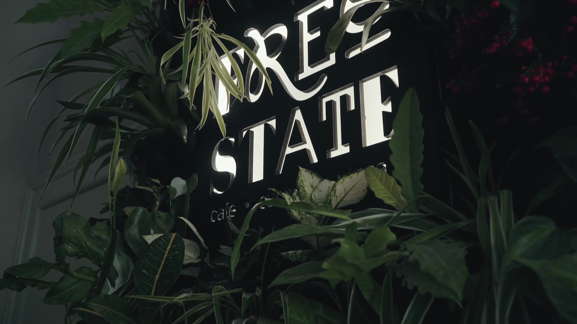 Nel cuore di Ruvo la vivace eccellenza di Free State