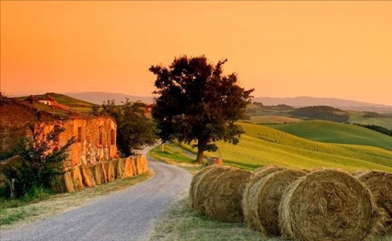 Ferragosto, non solo mare: in 20mila scelgono gli agriturismo