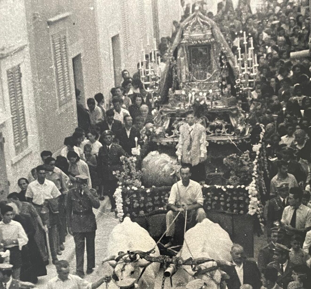 La Festa Maggiore in onore della Patrona di Terlizzi. La figlia della Madonna