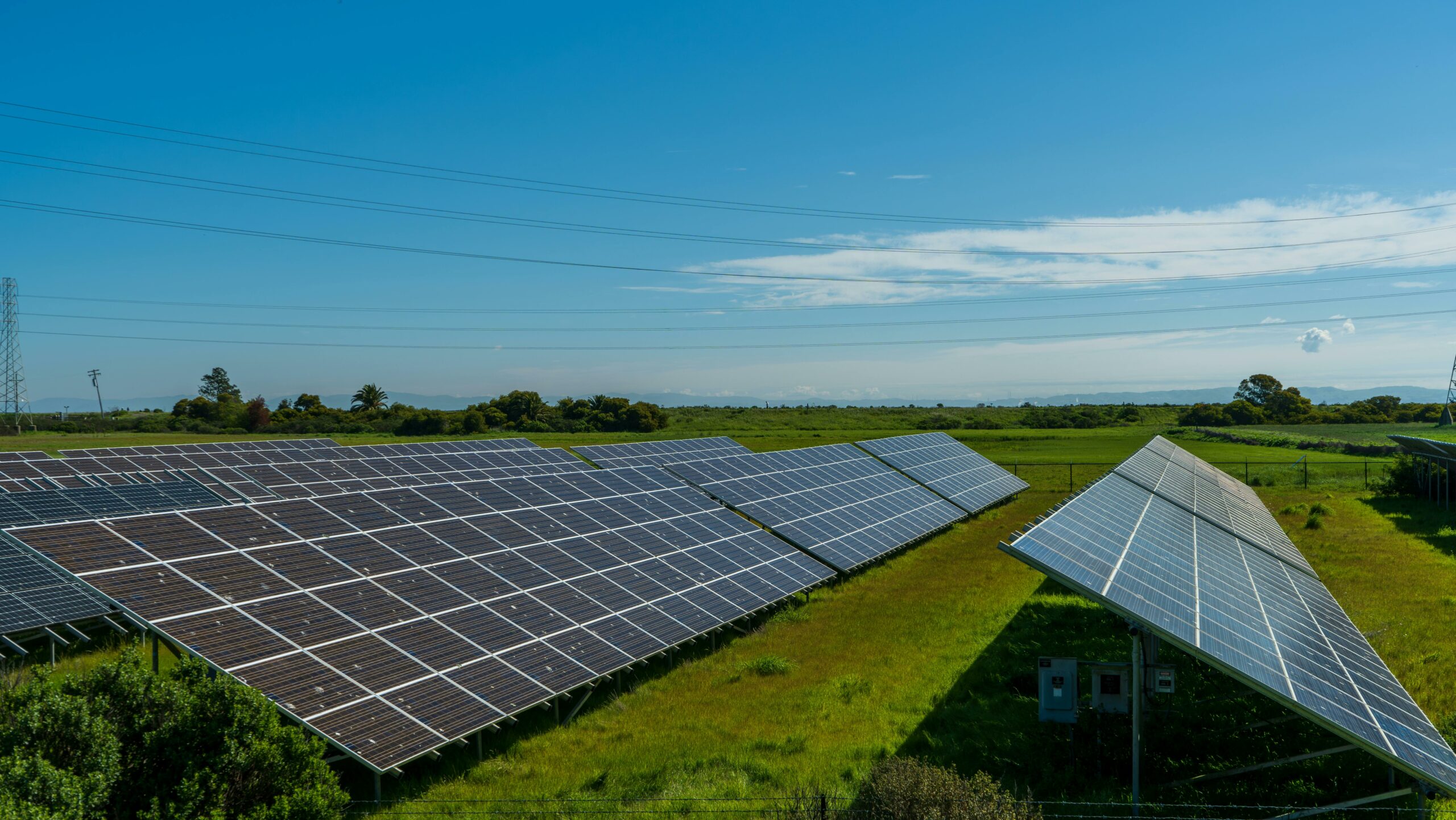 Contrasto ad abbandono rifiuti, Xylella e fotovoltaico selvaggio: le richieste degli agricoltori