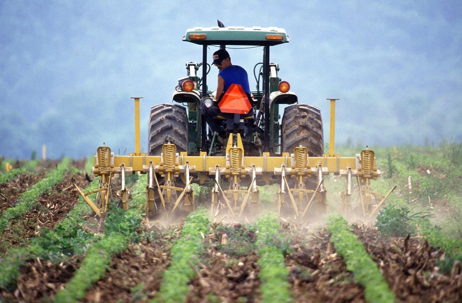 Oltre mille ettari Ismea in vendita in Puglia: agevolazioni per giovani in agricoltura
