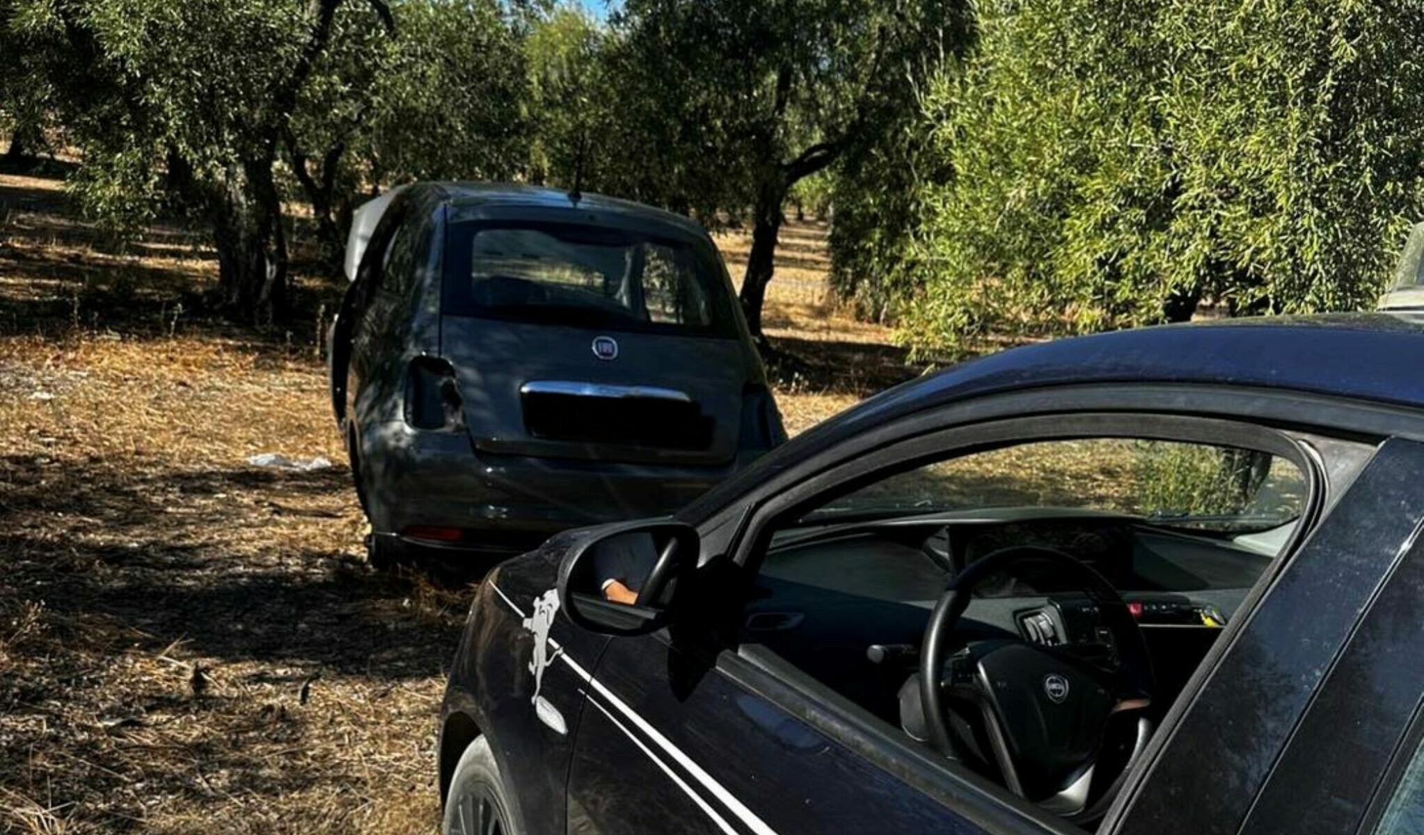 Scoperta nelle campagne di Terlizzi auto rubata a Ruvo