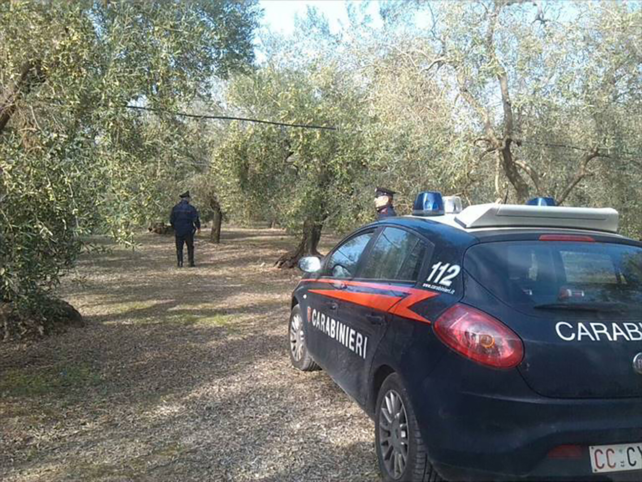 Furti di mezzi, assalti alle aziende agricole: l’allarme degli agricoltori