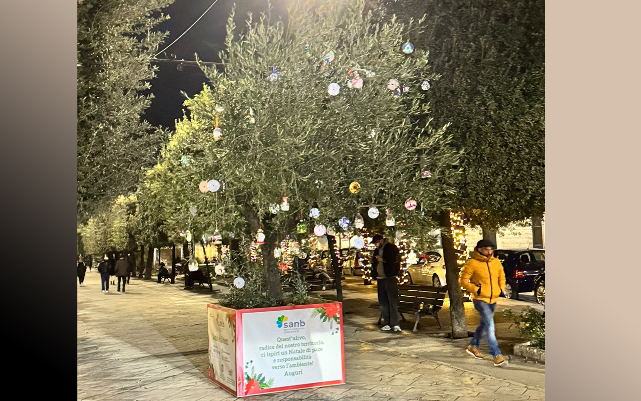 Sanb porta nelle piazze l’Albero del Riciclo