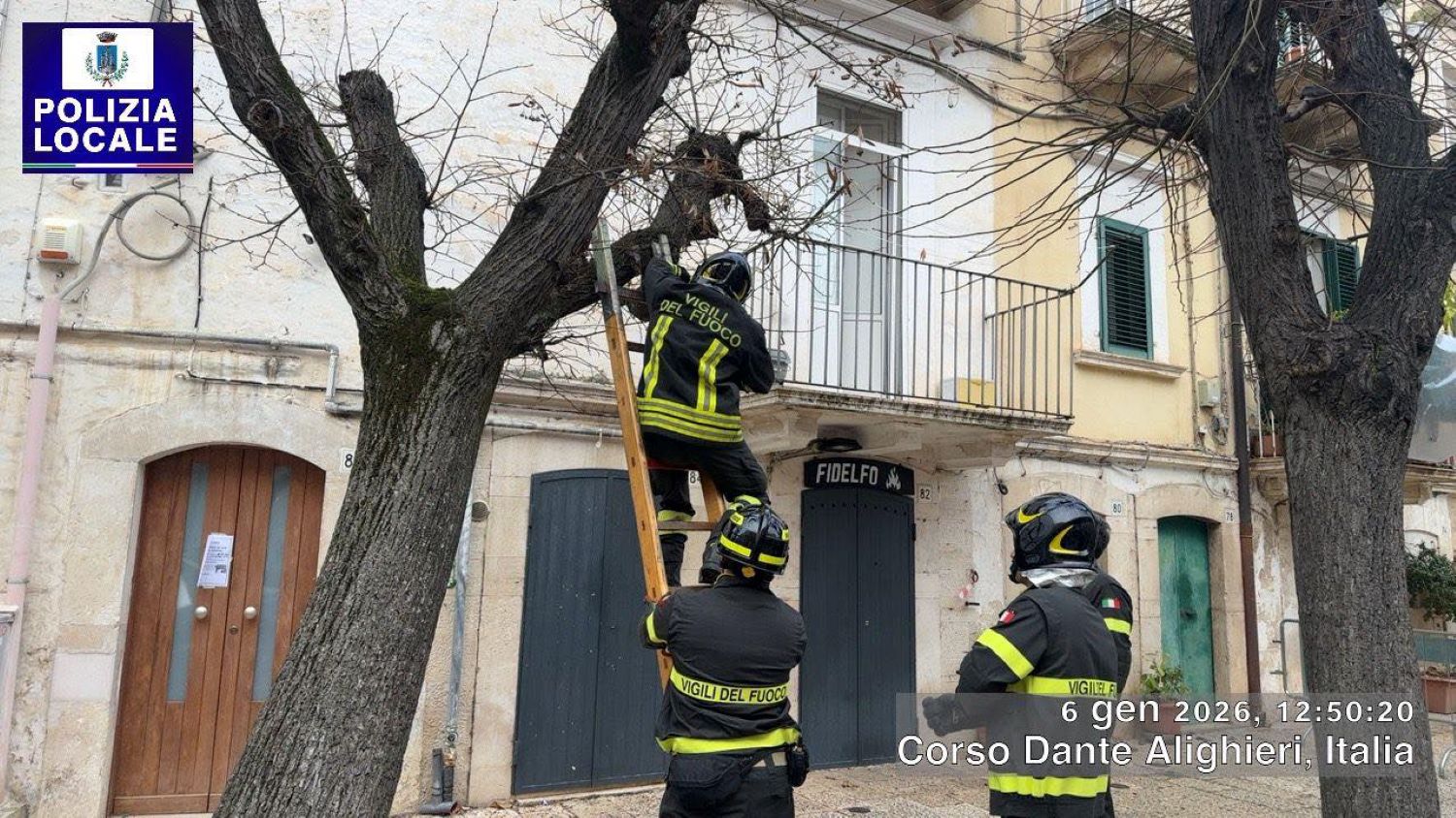 Albero pericolante rimosso su corso Dante