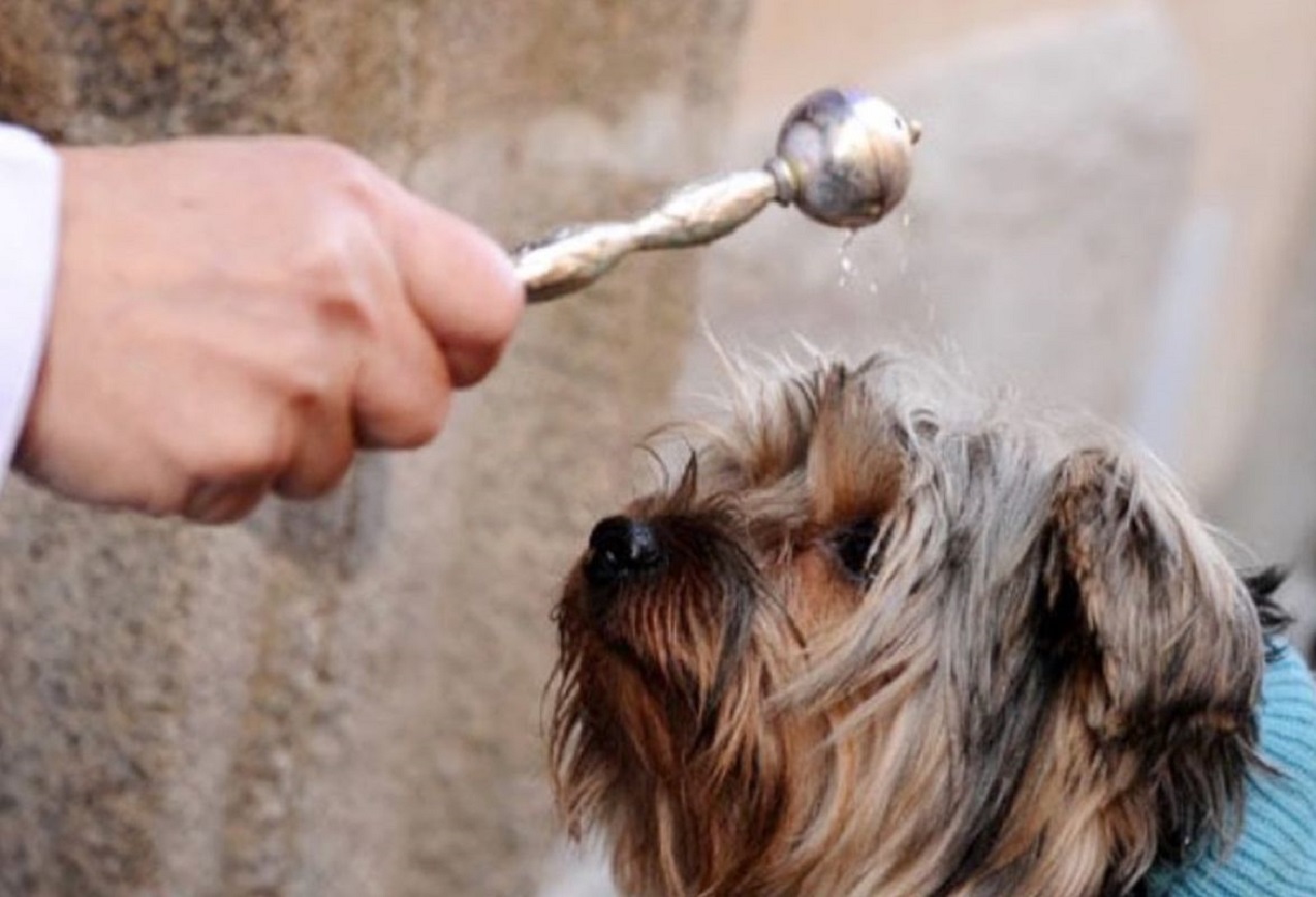 Terlizzi celebra Sant’Antonio Abate, protettore degli animali