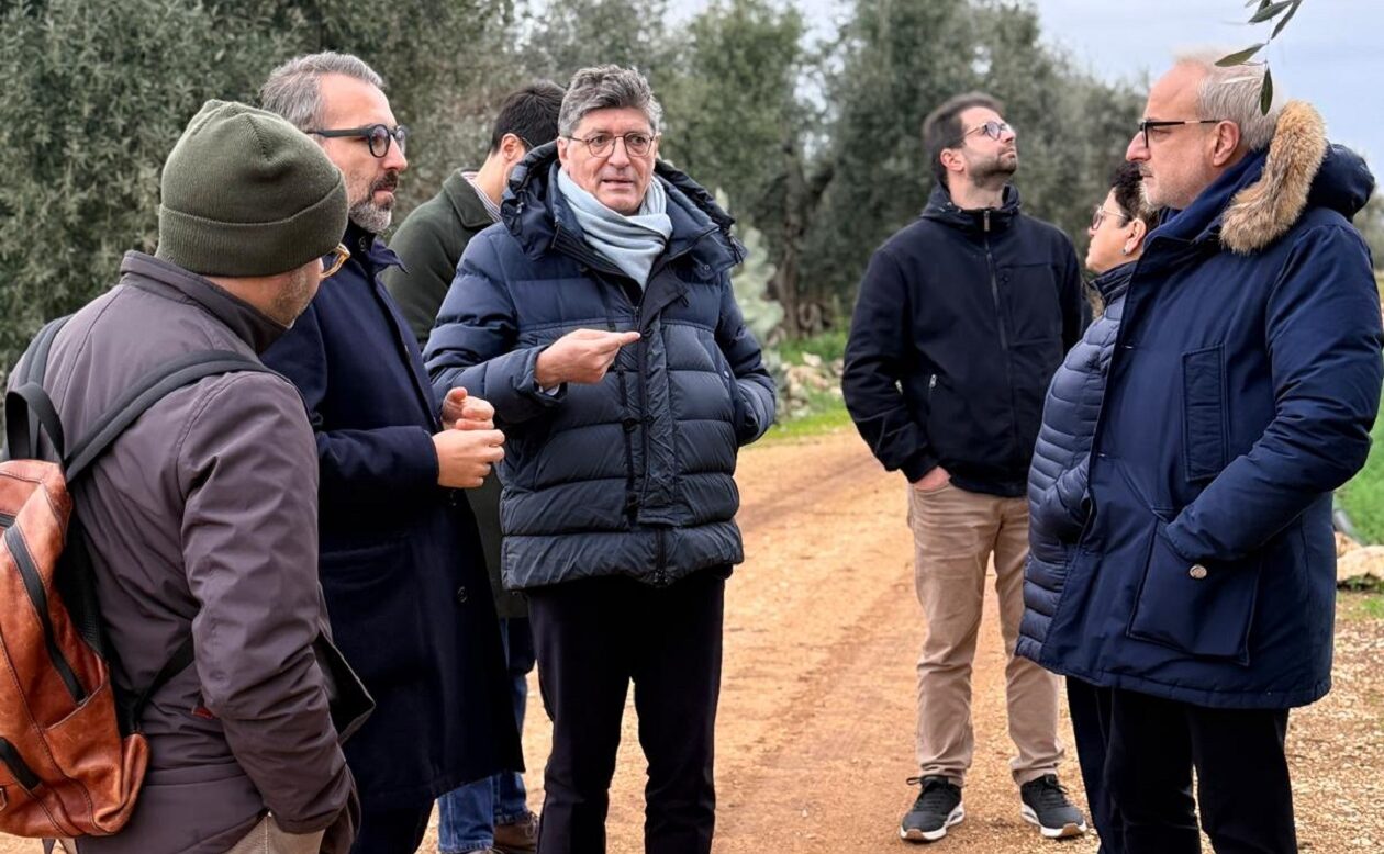 Xylella a Bitonto, sopralluogo dell’assessore regionale Paolicelli: «Caso isolato e sotto controllo»