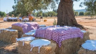 Pasqua 2026, agriturismi presi d’assalto: sold out anche a pasquetta