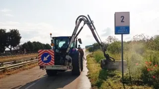 Xylella, al via lo sfalcio dell’erba sulle strade metropolitane: interventi fino al 15 maggio su 1.700 chilometri