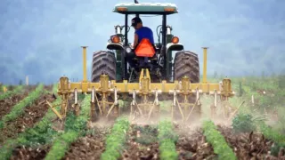 Agri Job Days, maxi recruiting per l’agroalimentare: quasi 250 posti di lavoro disponibili tra Bari, BAT e Foggia