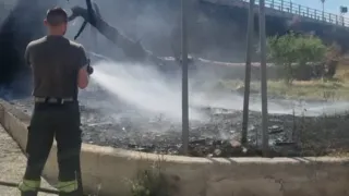 Incendio in viale del Lilium, fiamme tra le sterpaglie accanto all’albero caduto. Scattano le sanzioni
