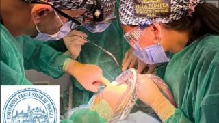 Un professionista di Ruvo di Puglia tra i 50 maggiori esperti mondiali: il professor Michele Di Cosola sarà intervistato dalla Rai